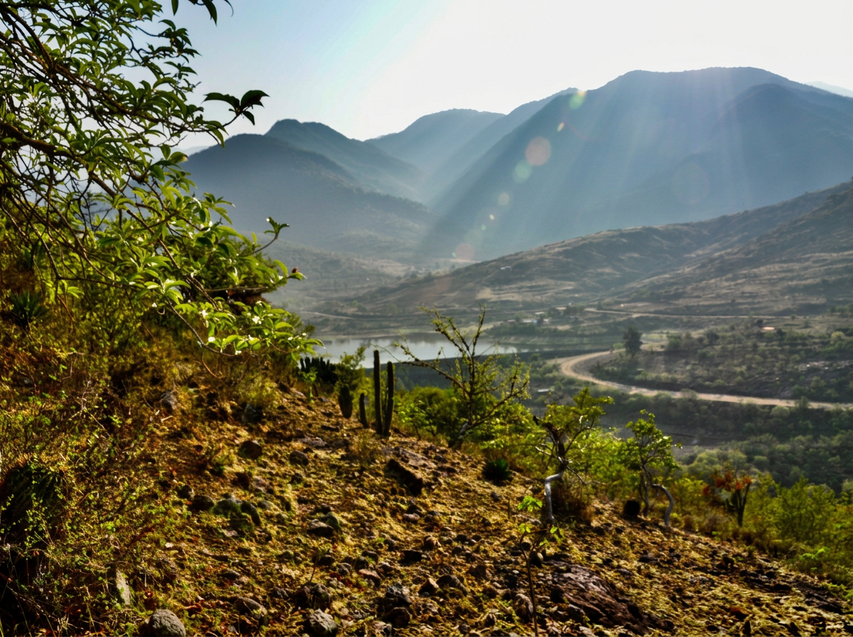 Nature experiences in Oaxaca