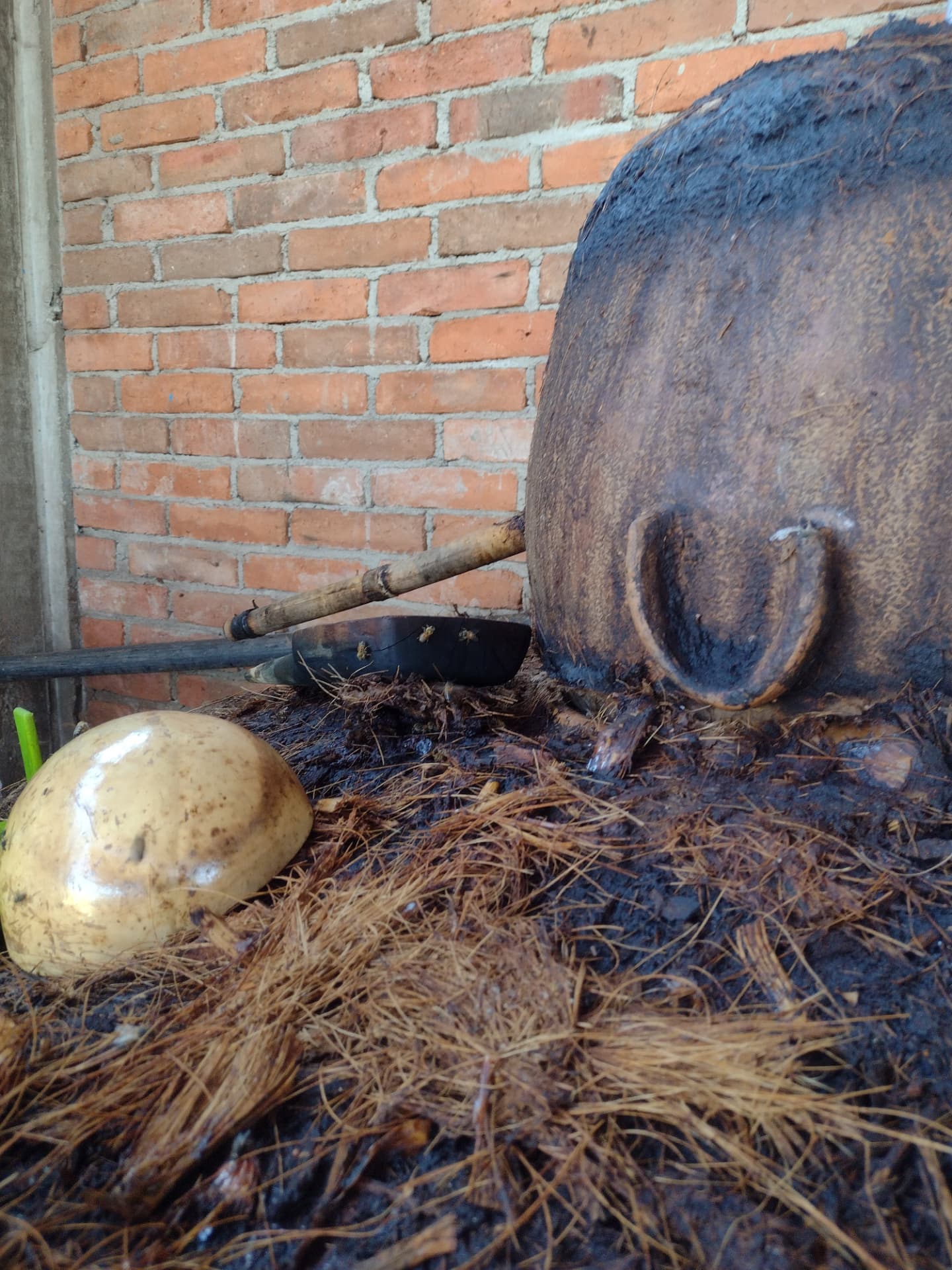 Artisanal & Ancestral Spiritual Mezcal detail 1