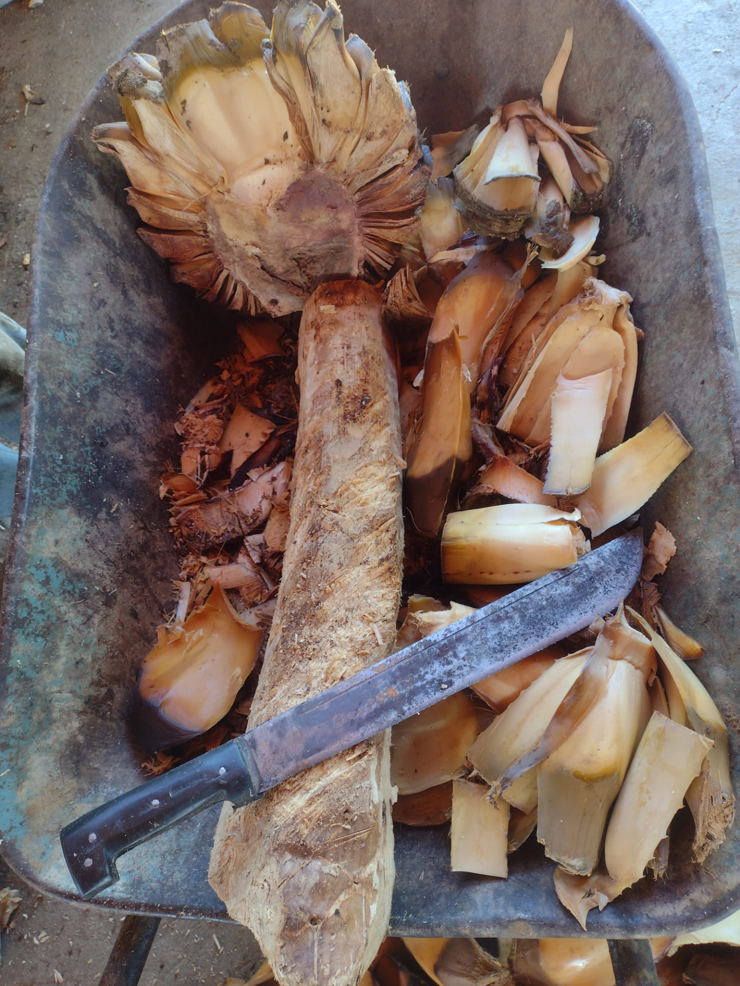 Artisanal & Ancestral Spiritual Mezcal detail 2